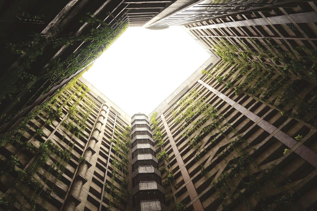 FM Contract Solutions are leading Experts in Green Cleaning Programs