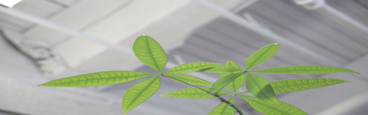 FN Contract Solutions are Green Cleaning Consultants